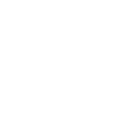 Subscription Option